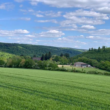 Schloessliches Ambiente Mitten In Der Natur Leilighet Bodenfelde Eksteriør bilde