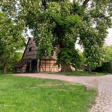 Schloessliches Ambiente Mitten In Der Natur Leilighet Bodenfelde Eksteriør bilde